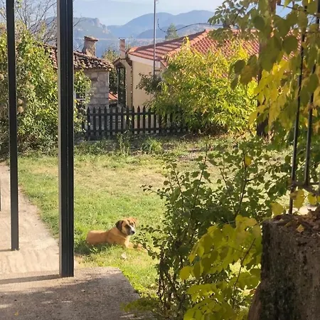 Dom wakacyjny χαρουλα 2